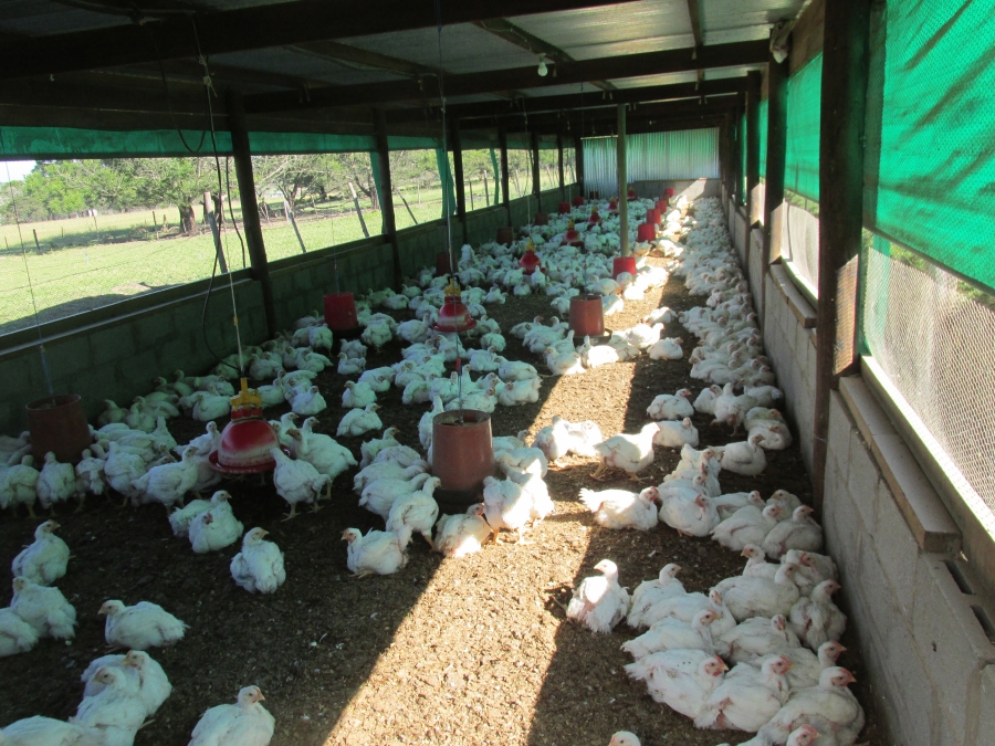 Commercial Property for Sale in Macleantown Eastern Cape